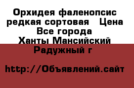 Орхидея фаленопсис редкая сортовая › Цена ­ 800 - Все города  »    . Ханты-Мансийский,Радужный г.